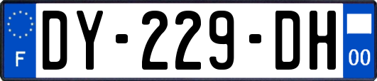 DY-229-DH