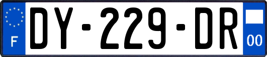 DY-229-DR