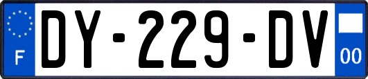 DY-229-DV