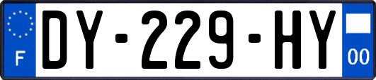 DY-229-HY