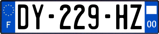 DY-229-HZ