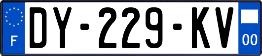 DY-229-KV