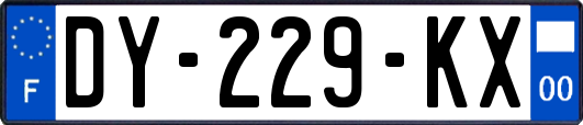 DY-229-KX