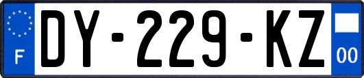 DY-229-KZ