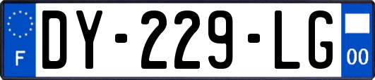 DY-229-LG