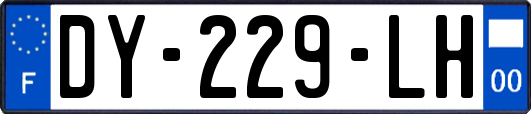 DY-229-LH