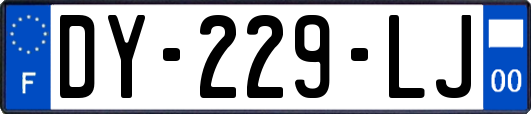DY-229-LJ