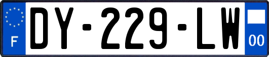DY-229-LW