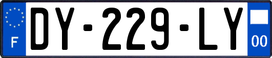 DY-229-LY