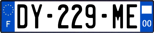 DY-229-ME
