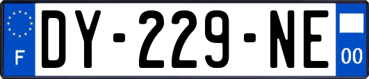 DY-229-NE