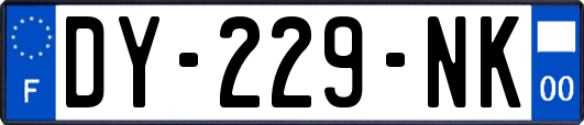 DY-229-NK