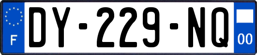 DY-229-NQ