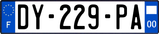 DY-229-PA