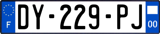 DY-229-PJ