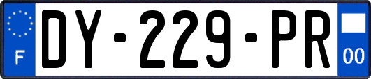 DY-229-PR