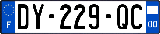 DY-229-QC