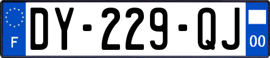 DY-229-QJ