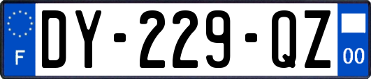 DY-229-QZ