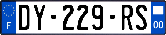 DY-229-RS