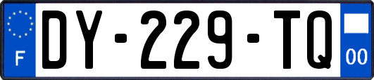 DY-229-TQ