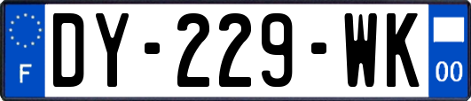 DY-229-WK