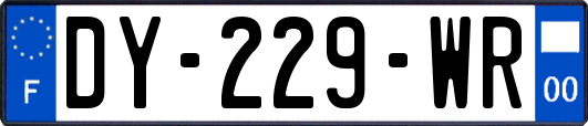 DY-229-WR