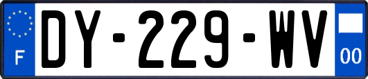 DY-229-WV