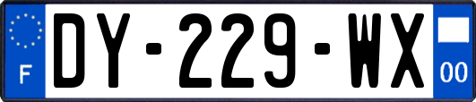 DY-229-WX