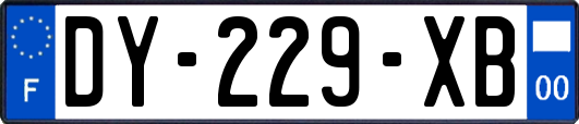 DY-229-XB