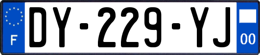 DY-229-YJ