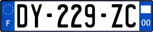 DY-229-ZC