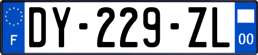 DY-229-ZL