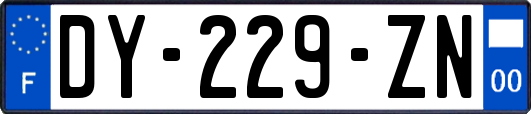 DY-229-ZN