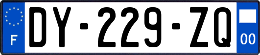 DY-229-ZQ