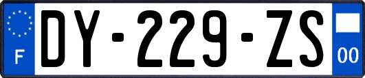 DY-229-ZS