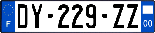DY-229-ZZ