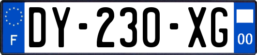 DY-230-XG