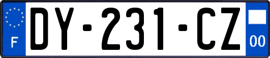 DY-231-CZ