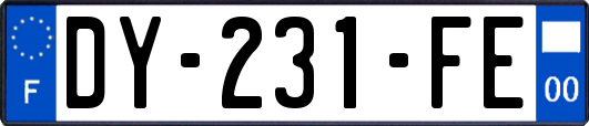 DY-231-FE