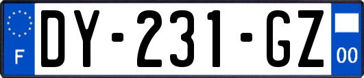 DY-231-GZ