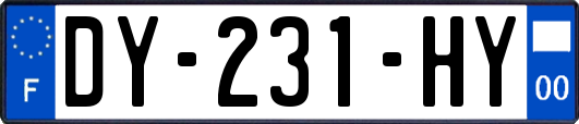 DY-231-HY