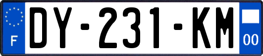 DY-231-KM