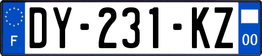 DY-231-KZ