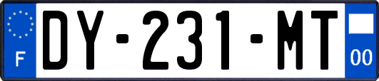 DY-231-MT