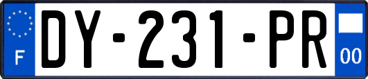 DY-231-PR