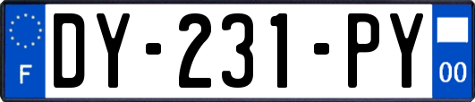 DY-231-PY