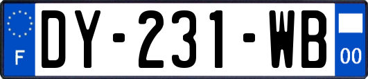 DY-231-WB