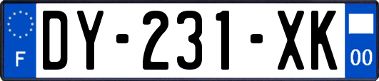 DY-231-XK