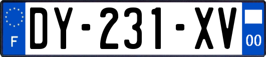 DY-231-XV